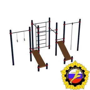 Гимнастический комплекс для воркаута (PAW-21)