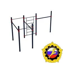 Шведская стенка и комбинация разновысотных турников и турников «Мастер» (PAW-46)