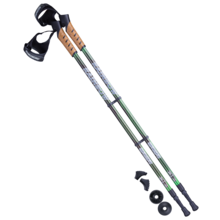Berger Rainbow - палки для скандинавской ходьбы, алюминий, телескопические, 2 секции, высота 77-135 см, чёрно-зеленый