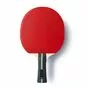 Ракетка Butterfly OVCHAROV EXPERT FL - вид 4